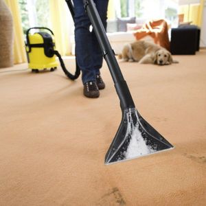 Extratora 2 em 1 Karcher SE 4001 220V