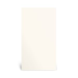 Revestimento Cerâmico Brilhante Retificado Tradizionale Bianco Tipo A 32X60CM - BR0111I1 - Biancogres