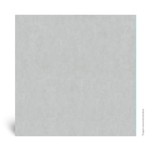Porcelanato Cimento Acetinado Retificado Cemento Griggio Tipo A 60X60CM - BP1209G1 - Biancogres