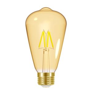 Lâmpada LED Taschibra Âmbar St64 220V