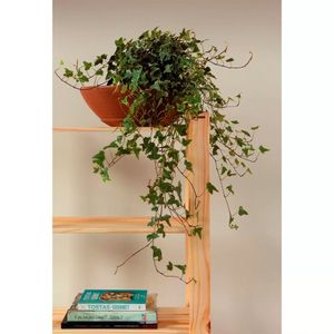 Estante em Madeira Pinus com Acabamento Natural 5 Prateleiras Modulare 139x30x62CM - 91620018 - Tramontina