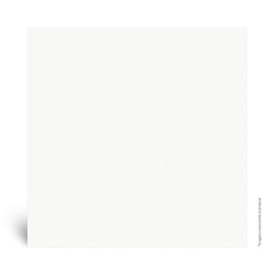 Porcelanato Retificado Acetinado Branco Comfort Tipo A 58X58CM - PTG58020R - Tecnogres