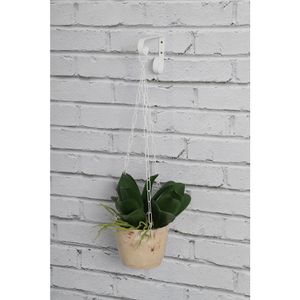 Corrente Giratória Para Plantas Dicarlo Branco Feito De Aço Carbono E Pintura Epóxi Suportando Até 5,00Kg
