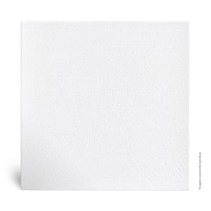 Piso Cerâmico Acetinado Neve Branco Tipo A 46X46CM - Cerbras