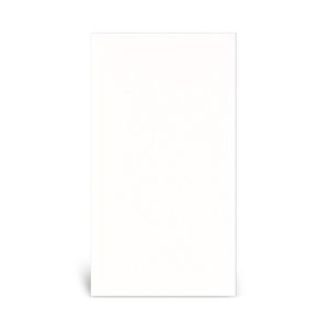 Revestimento Cerâmico Brilhante Aurora Branco Tipo A 33X46CM - Cerbras