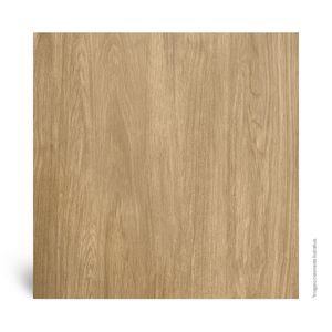 Piso Cerâmico Madeira Brilhante HD Alliance Marron Tipo A 54X54CM - 56305 - Arielle