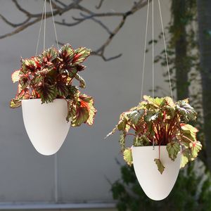 Vaso para Plantas Suspenso em Polietileno Autoirrigável Egg 19X21CM - I.ACQU.019.021.06- Vasart