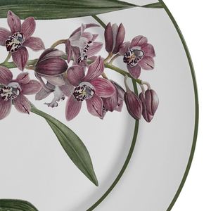 Prato Raso Orquídeas - Alleanza