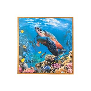 Quadro Arte Propria Tartaruga 70X70