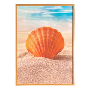 Quadro Arte Propria Concha Areia 50X70