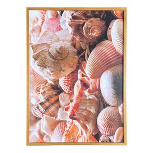 Quadro Arte Propria Conchas I 50X70