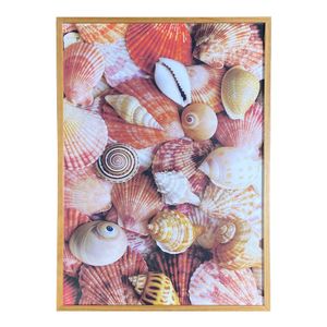 Quadro Arte Propria Conchas Ii 50X70