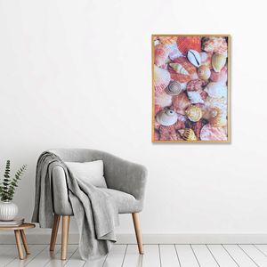 Quadro Arte Propria Conchas Ii 50X70