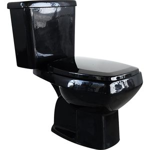 Conjunto Acoplado com Kit de Instalação 3/6L Preto Anturius Luzarte