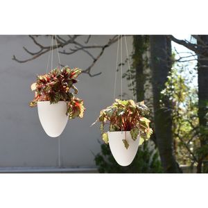 Vaso para Plantas Suspenso em Polietileno Autoirrigável Egg 19X21CM - I.ACQU.019.021.06- Vasart