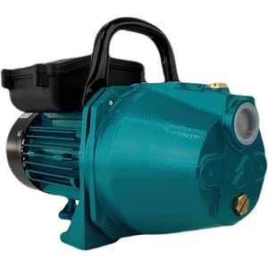 Bomba  autoaspirante Lepono 0,8HP Mon 220V