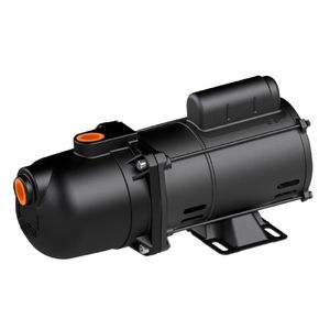 Autoaspirante Dancor Bomba Pratika Ap-2R 1/3Cv M 127/220/254V Fc122 Intermediária Interna, Difusor E Carcaça Em Nylon, Norma Nema