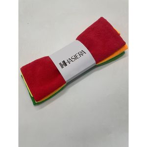 Pano Multiuso de Microfibra Hasiera 4 Unidades Colorido