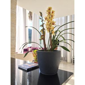 Vaso Amsterda Grafiato 27X28 Grafite Stone Floridis