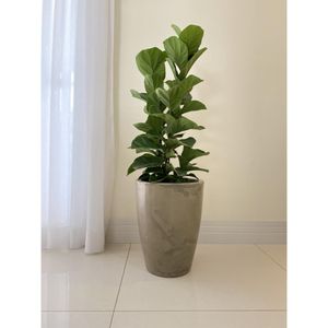Vaso Amsterda Marmorato 29X44 Bege Floridis
