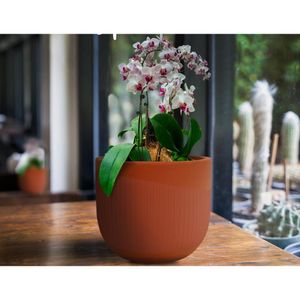 Cachepot Spello Rischio Terracota Floridis