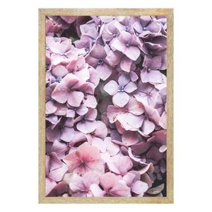 Quadro Com Vidro Hortências 40X60Cm Arte Propria