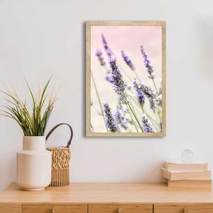 Quadro Com Vidro Lavandas 40X60Cm Arte Propria