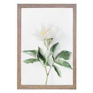 Quadro Com Vidro Rosa 40X60Cm Arte Propria
