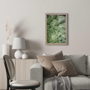 Quadro Com Vidro Suculenta 40X60Cm Arte Propria
