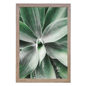 Quadro Com Vidro Folhas 40X60Cm Arte Propria