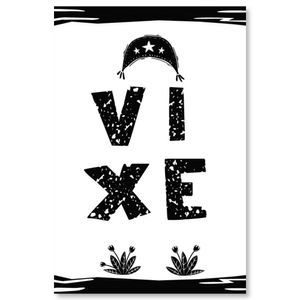 Placa Decorativa Cordel Vixe 20X30Cm Arte Propria
