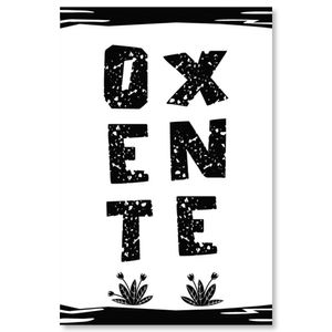 Placa Decorativa Cordel Oxente 20X30Cm Arte Propria