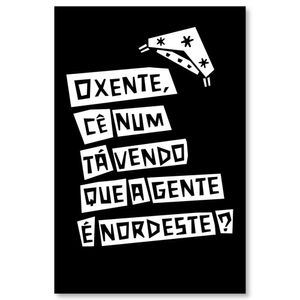 Placa Decorativa Cordel Nordeste 20X30Cm Arte Propria
