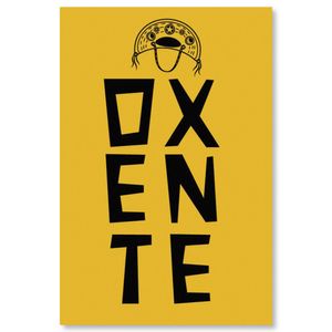 Placa Decorativa Cordel Oxente 20X30Cm Arte Propria