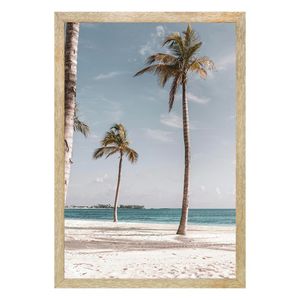 Quadro Com Vidro Marítimo Coqueiro 40X60Cm Arte Propria