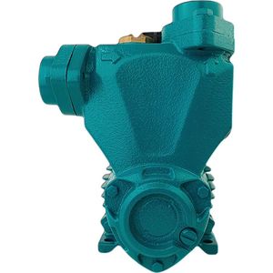 Bomba Periférica Autoaspirante Lepono 1,0HP Mon 220V