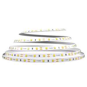 Fita LED 5M 50W 864 Lúmens/M IP20 12V Branca Fria 4000K - Luminatti