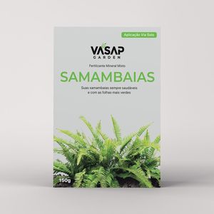 Fertilizante Mineral Misto Fertilizante Samambaia Cx 150g Vasap