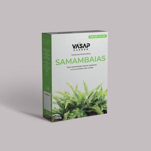 Fertilizante Mineral Misto Fertilizante Samambaia Cx 150g Vasap