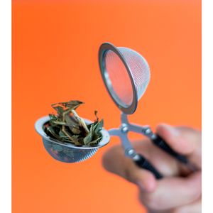 Infusor De ChÃ¡ De Inox- Oikos.