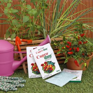 Fertilizante Fungicida Em Pó Cupro 300g Dimy