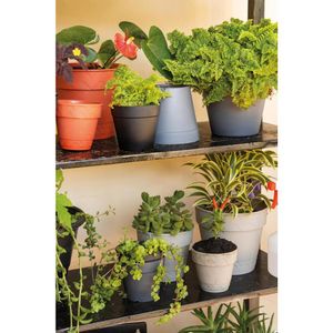 Vaso 10Cm 2 Em 1 Branco 50005051 Mor