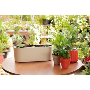 Vaso 13Cm 2 Em 1 Branco 50005061 Mor