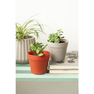 Vaso 12Cm Branco Cachepot 50005091 Mor