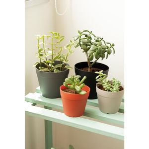 Vaso 15Cm Cinza Cachepot 50005102 Mor