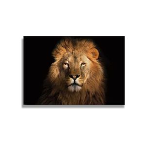 Quadro 60X90 Leão Com Fundo Preto Canvas 1036 Brisa Artes