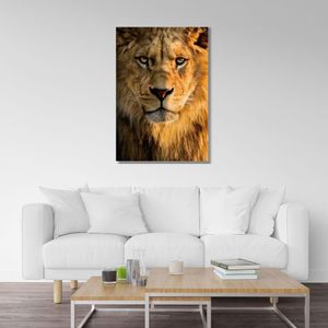 Quadro 60X90 Leão Alaranjado Canvas 1027 Brisa Artes