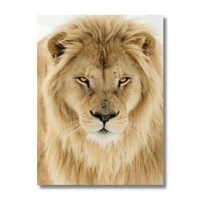 Quadro 90X120 Leão Albino Canvas 1204 Brisa Artes
