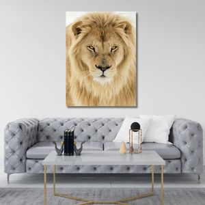 Quadro 90X120 Leão Albino Canvas 1204 Brisa Artes
