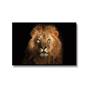 Quadro Com Acetato Leão 63x93cm 1036 Brisa Artes